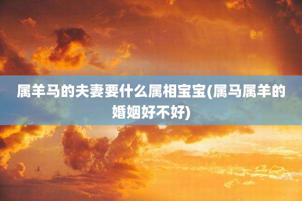 属羊马的夫妻要什么属相宝宝(属马属羊的婚姻好不好)