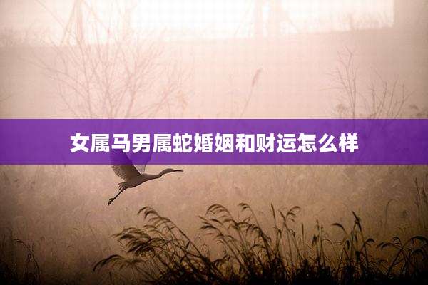 女属马男属蛇婚姻和财运怎么样