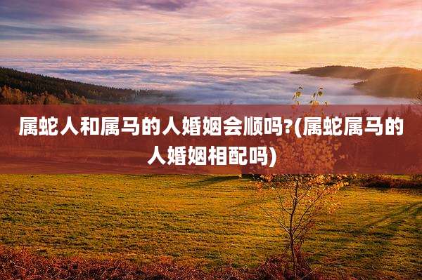 属蛇人和属马的人婚姻会顺吗?(属蛇属马的人婚姻相配吗)