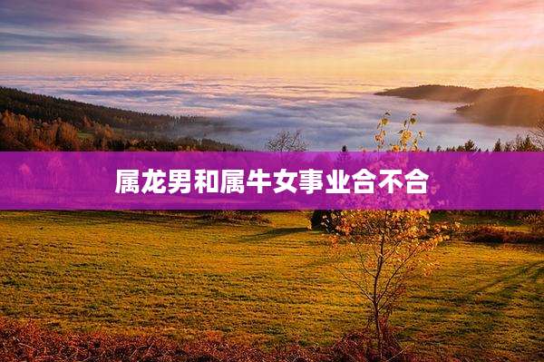 属龙男和属牛女事业合不合