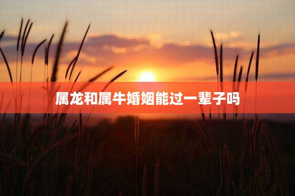 属龙和属牛婚姻能过一辈子吗