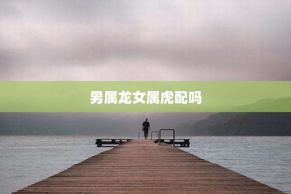 男属龙女属虎配吗