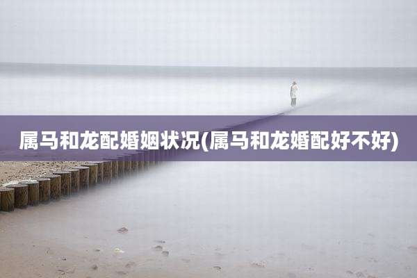 属马和龙配婚姻状况(属马和龙婚配好不好)