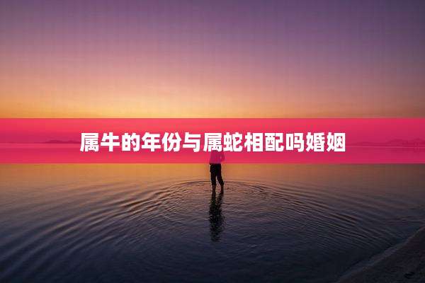 属牛的年份与属蛇相配吗婚姻