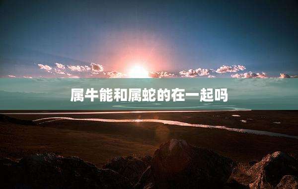 属牛能和属蛇的在一起吗