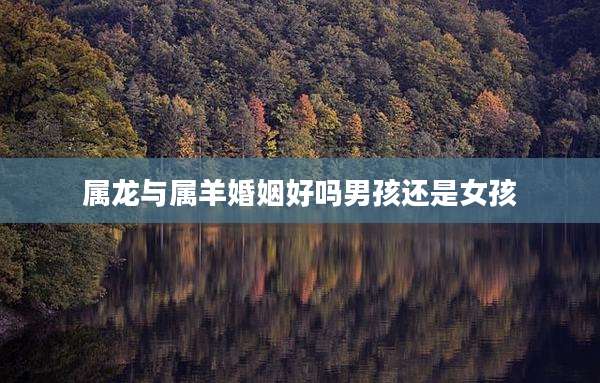 属龙与属羊婚姻好吗男孩还是女孩