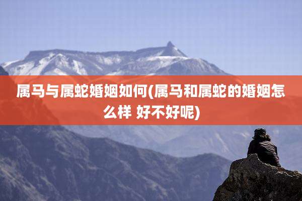 属马与属蛇婚姻如何(属马和属蛇的婚姻怎么样 好不好呢)