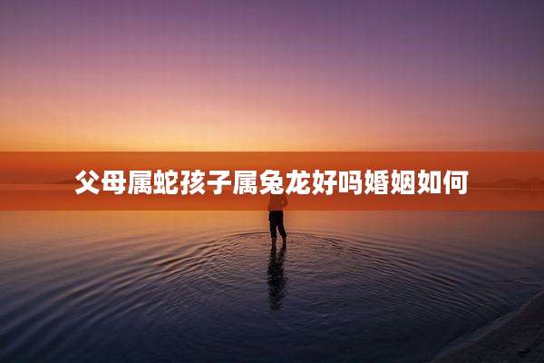 父母属蛇孩子属兔龙好吗婚姻如何