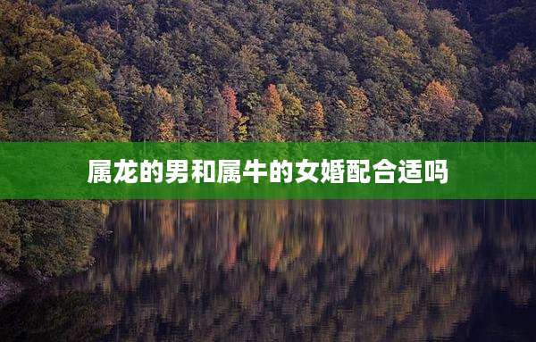 属龙的男和属牛的女婚配合适吗