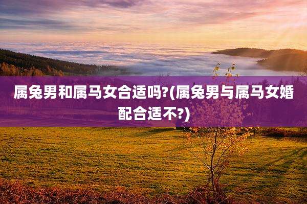 属兔男和属马女合适吗?(属兔男与属马女婚配合适不?)