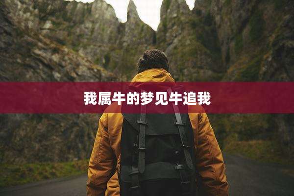 我属牛的梦见牛追我