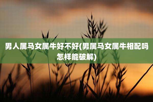 男人属马女属牛好不好(男属马女属牛相配吗怎样能破解)