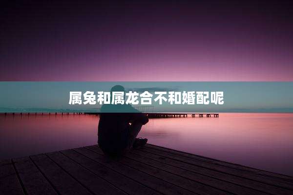属兔和属龙合不和婚配呢