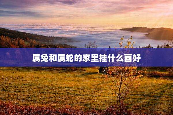 属兔和属蛇的家里挂什么画好