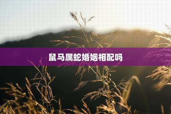 鼠马属蛇婚姻相配吗
