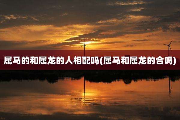 属马的和属龙的人相配吗(属马和属龙的合吗)