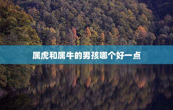 属虎和属牛的男孩哪个好一点