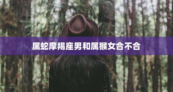 属蛇摩羯座男和属猴女合不合