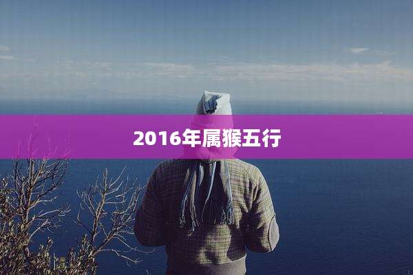 2016年属猴五行