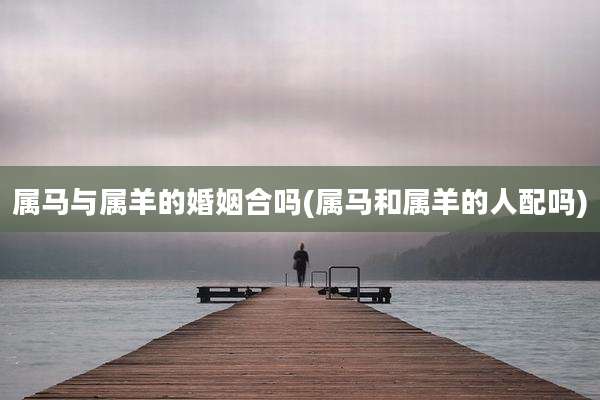 属马与属羊的婚姻合吗(属马和属羊的人配吗)