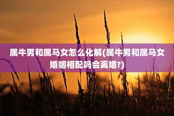 属牛男和属马女怎么化解(属牛男和属马女婚姻相配吗会离婚?)