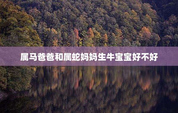 属马爸爸和属蛇妈妈生牛宝宝好不好