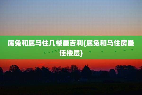 属兔和属马住几楼最吉利(属兔和马住房最佳楼层)