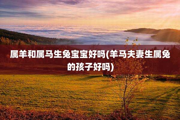 属羊和属马生兔宝宝好吗(羊马夫妻生属兔的孩子好吗)