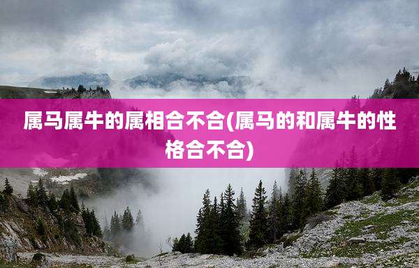 属马属牛的属相合不合(属马的和属牛的性格合不合)