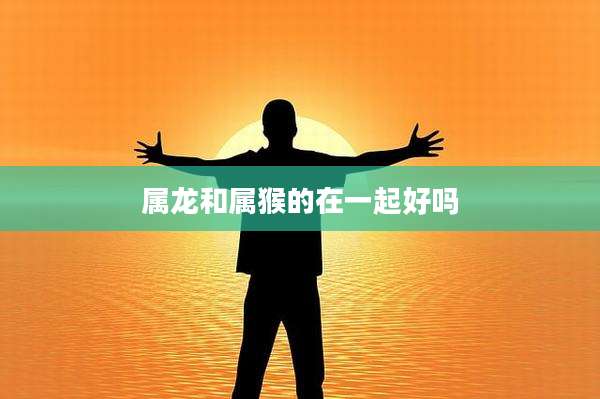 属龙和属猴的在一起好吗