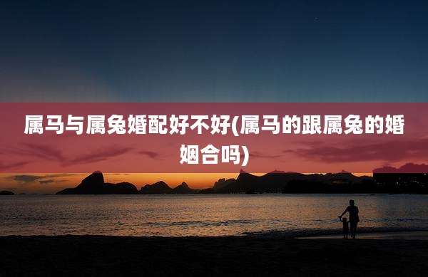 属马与属兔婚配好不好(属马的跟属兔的婚姻合吗)