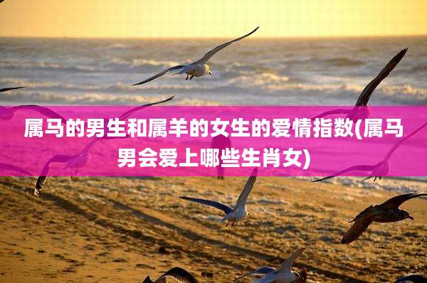 属马的男生和属羊的女生的爱情指数(属马男会爱上哪些生肖女)