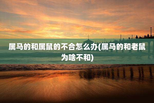 属马的和属鼠的不合怎么办(属马的和老鼠为啥不和)