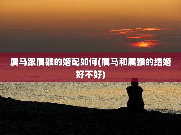 属马跟属猴的婚配如何(属马和属猴的结婚好不好)