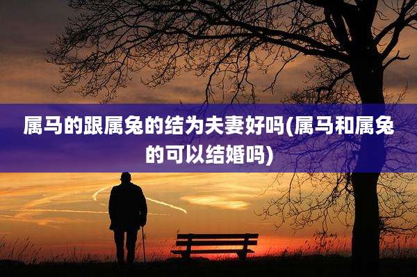 属马的跟属兔的结为夫妻好吗(属马和属兔的可以结婚吗)