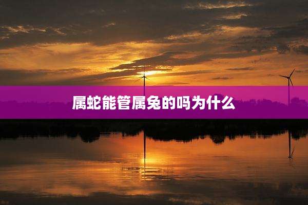 属蛇能管属兔的吗为什么