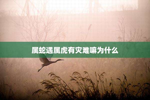 属蛇遇属虎有灾难嘛为什么