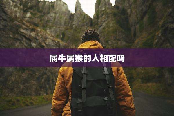 属牛属猴的人相配吗