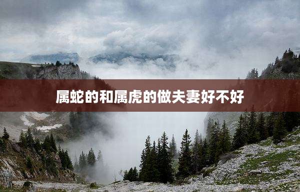 属蛇的和属虎的做夫妻好不好