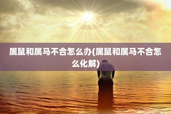 属鼠和属马不合怎么办(属鼠和属马不合怎么化解)
