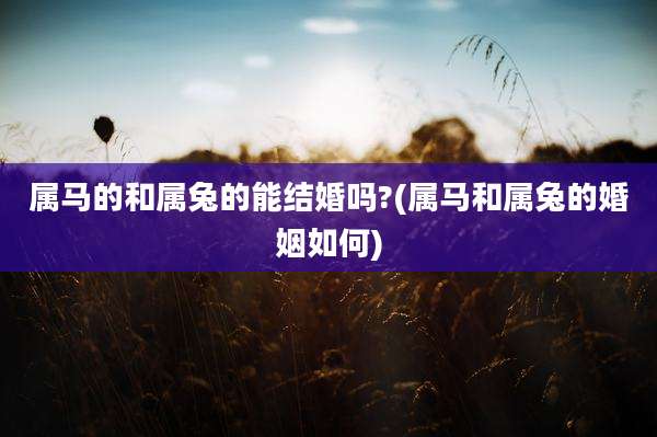 属马的和属兔的能结婚吗?(属马和属兔的婚姻如何)