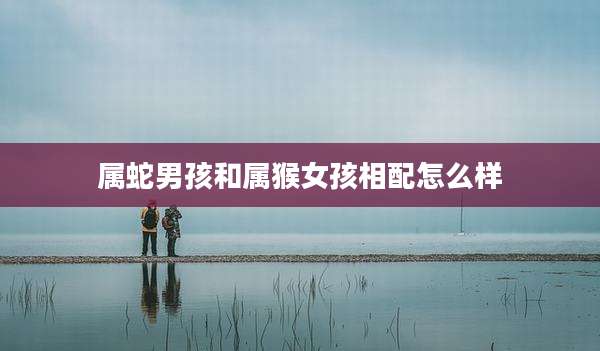 属蛇男孩和属猴女孩相配怎么样