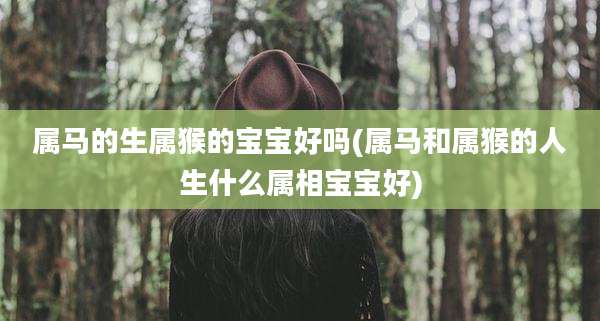 属马的生属猴的宝宝好吗(属马和属猴的人生什么属相宝宝好)
