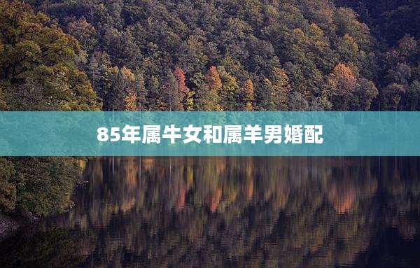 85年属牛女和属羊男婚配