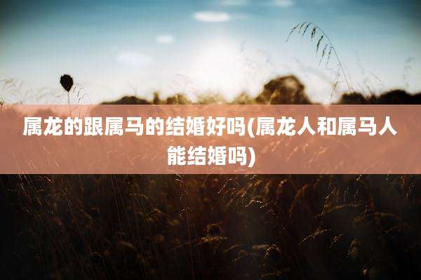 属龙的跟属马的结婚好吗(属龙人和属马人能结婚吗)