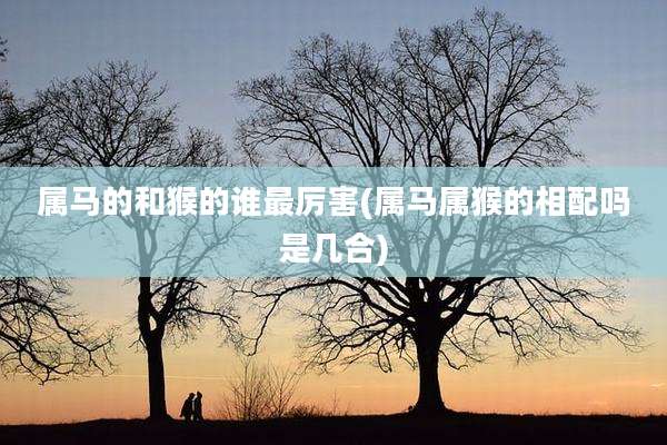 属马的和猴的谁最厉害(属马属猴的相配吗是几合)