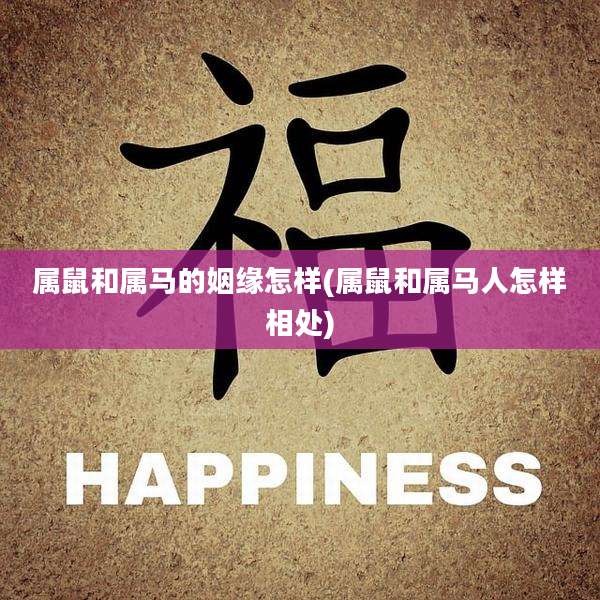 属鼠和属马的姻缘怎样(属鼠和属马人怎样相处)