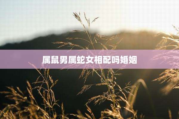 属鼠男属蛇女相配吗婚姻