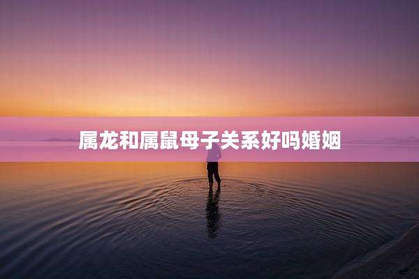属龙和属鼠母子关系好吗婚姻