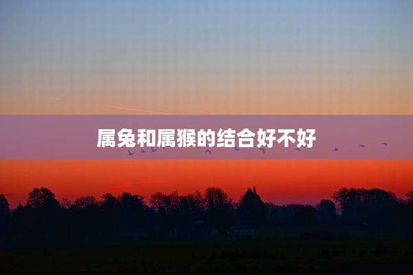 属兔和属猴的结合好不好